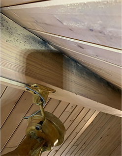 University Ceiling Restoration Before