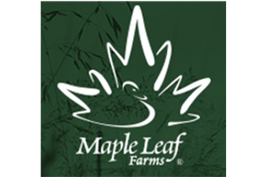 Maple Leaf Logo Food & Beverage