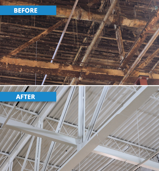 Polar Clean Restoration Guide